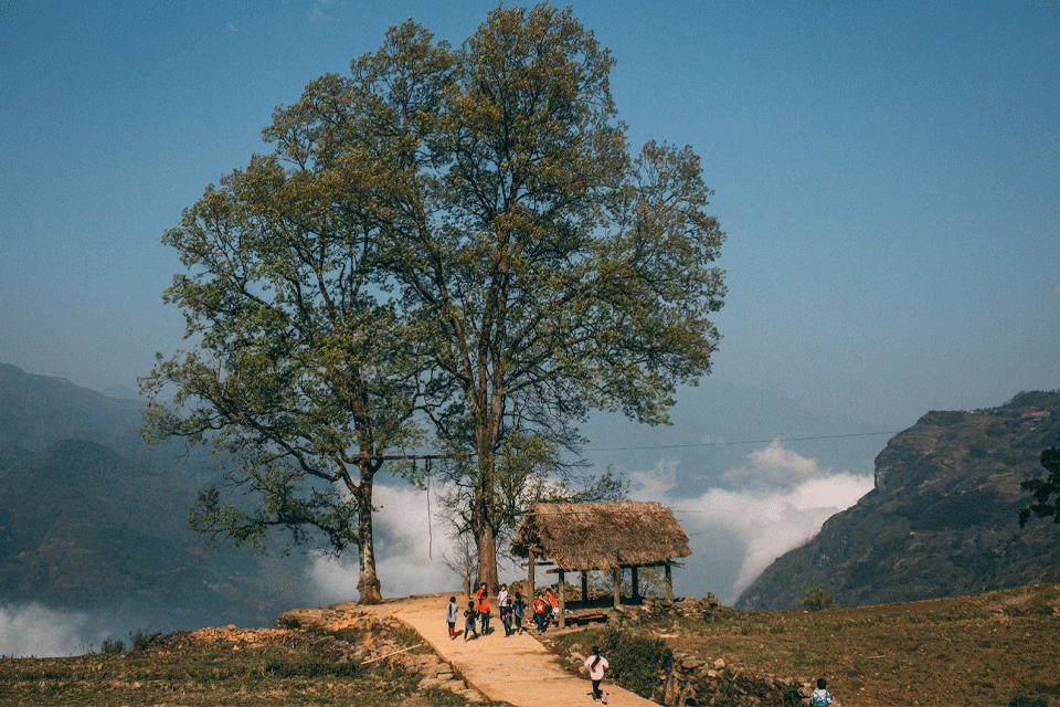 Cảnh sắc rừng núi Y Tý