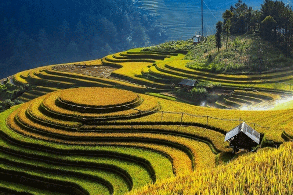 Ruộng bậc thang Lũng Pô