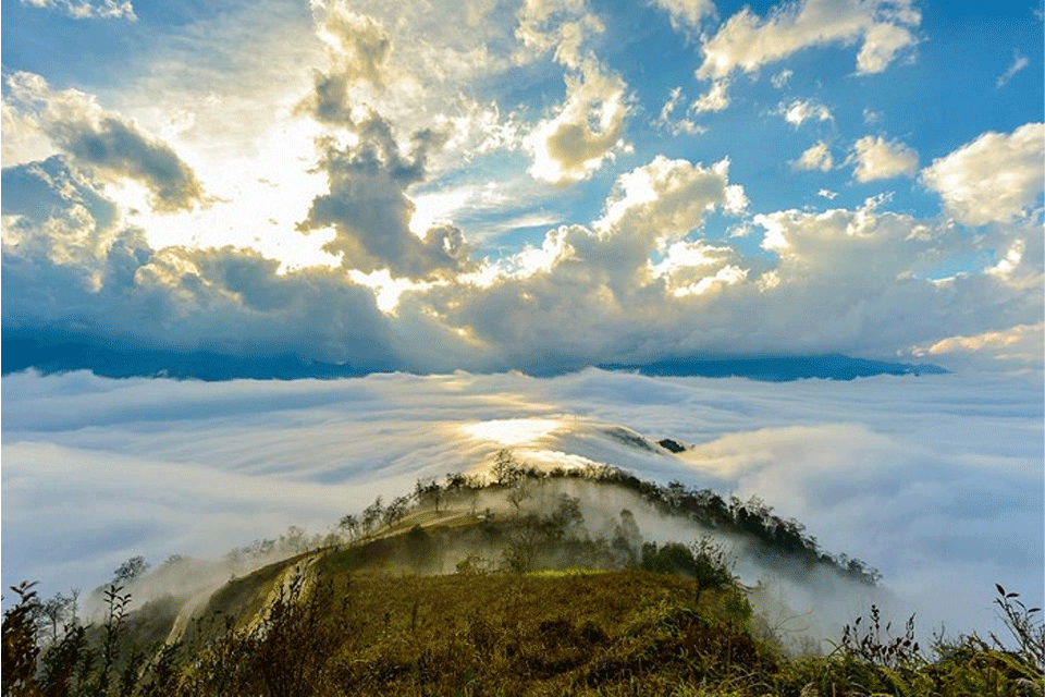 Săn mây Ngải Thầu