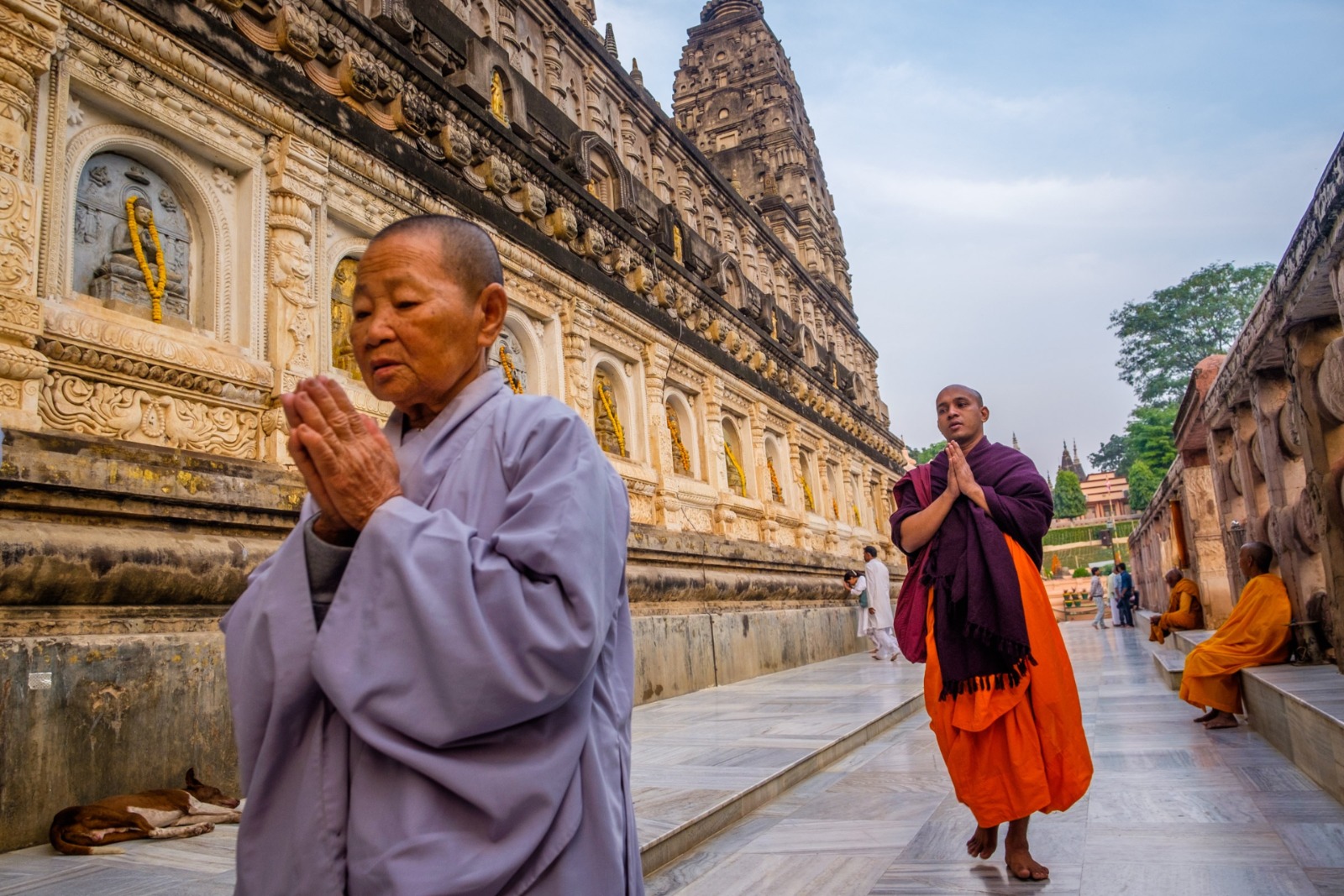 DU LỊCH HÀNH HƯƠNG ẤN ĐỘ-NÊ PAL - VỀ MIỀN ĐẤT PHẬT THĂM TỨ ĐỘNG TÂM 